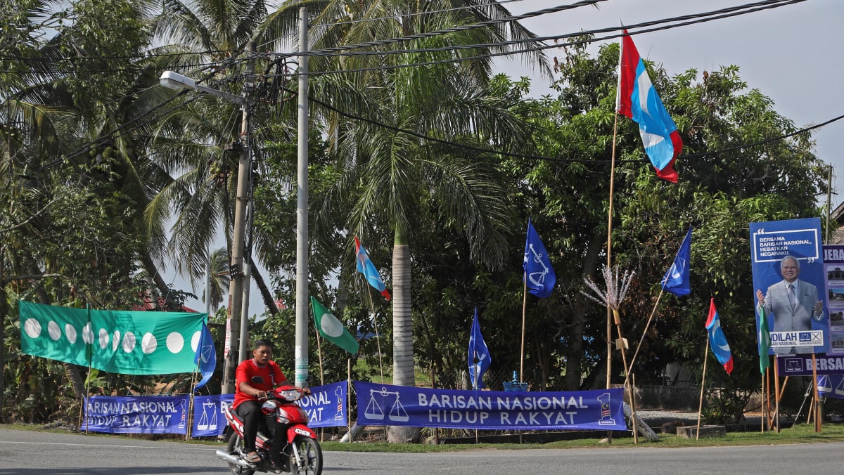 In big blow to BN, stronghold states fall to opposition, key party 