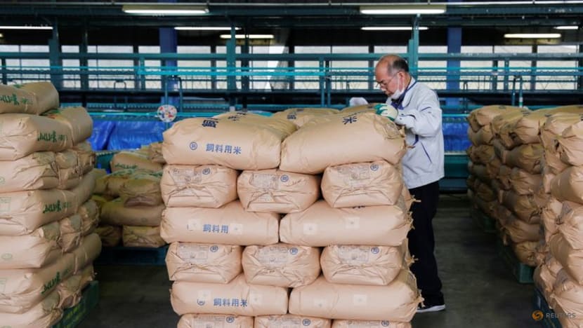 A decade on, Fukushima farmers fear nuclear-tainted water's impact on business A decade on, Fukushima farmers fear nuclear-tainted water's impact on business