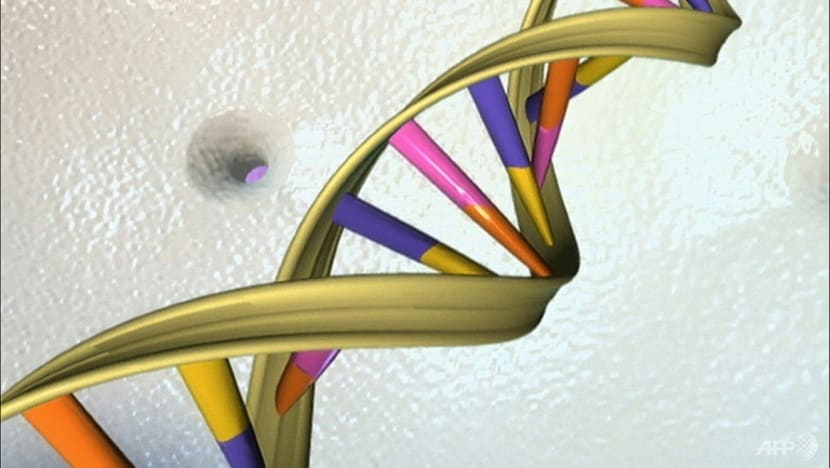 Google AI tool predicts danger of genetic mutations