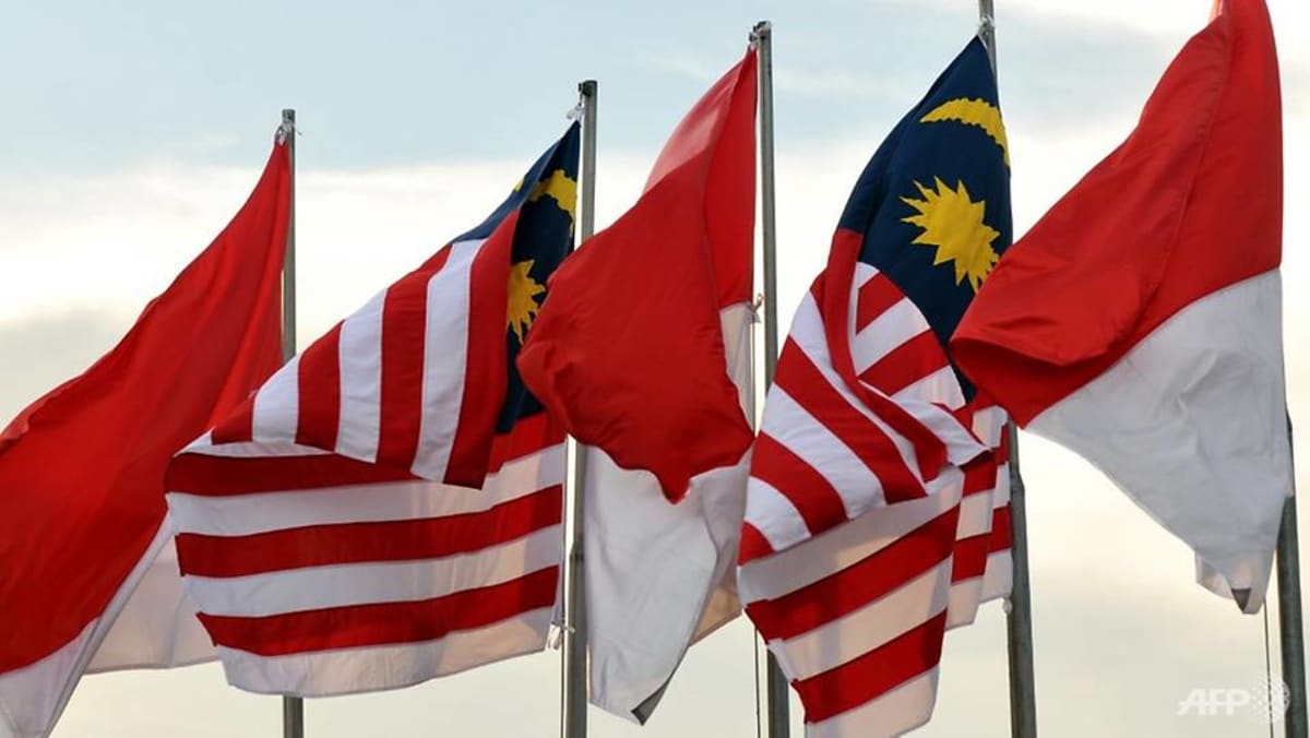 Malaysia Indonesia Agree To Use Drones To Patrol Borders Cna