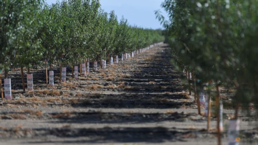 Billionaire Styers backs climate tech firm Regrow Ag Billionaire Styers backs climate tech firm Regrow Ag