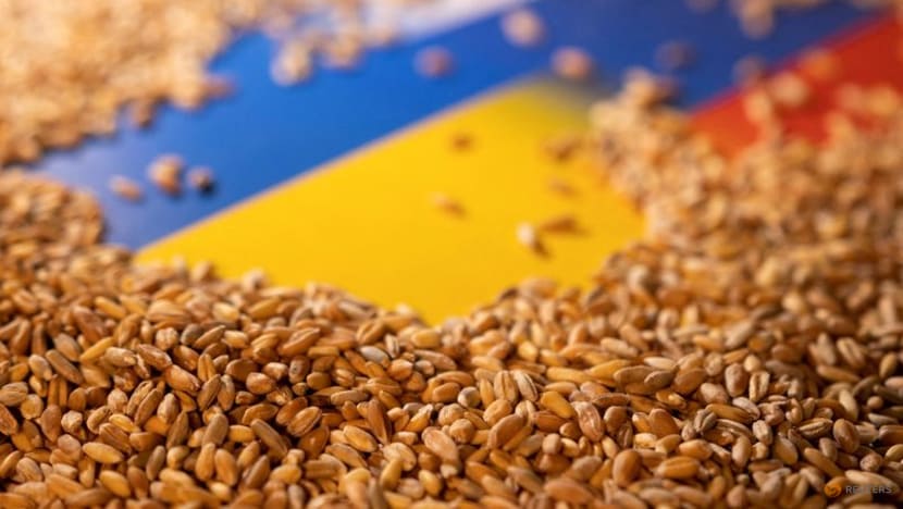 Putin says he's willing to discuss resuming Ukrainian grain shipments Putin says he's willing to discuss resuming Ukrainian grain shipments