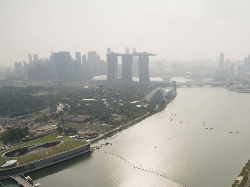 The Singapore city skyline yesterday afternoon. The NEA has attributed the haze to the spread of smoke from Sumatra and the surrounding region under light wind conditions. Photo: Mugilan Rajasegeran