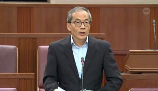 Dennis Tan on Transport Sector (Critical Firms) Bill