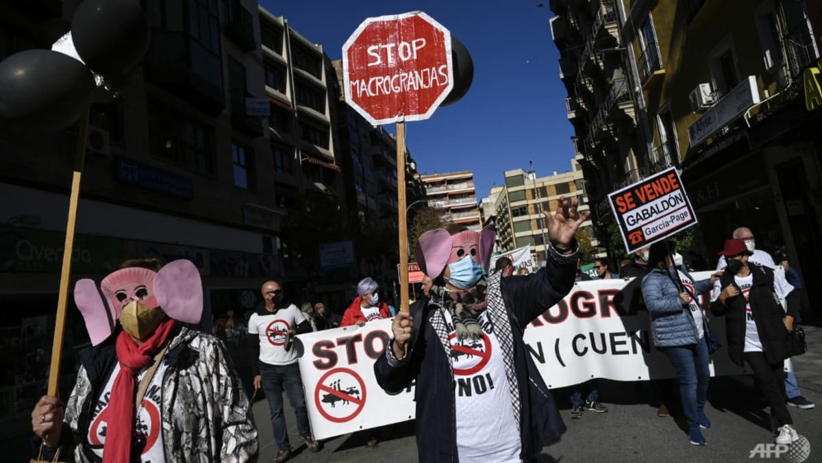 Pedesaan Spanyol bangkit melawan ‘pabrik babi’