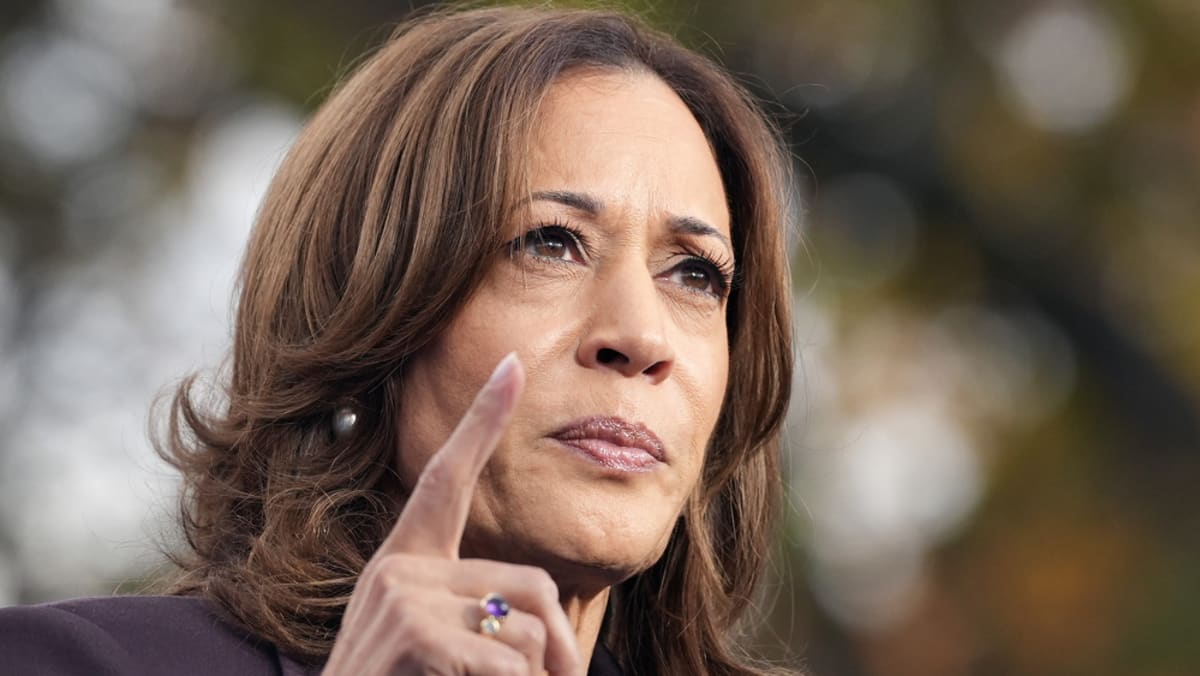 Kamala Harris concedes election to Donald Trump but vows to fight on - CNA