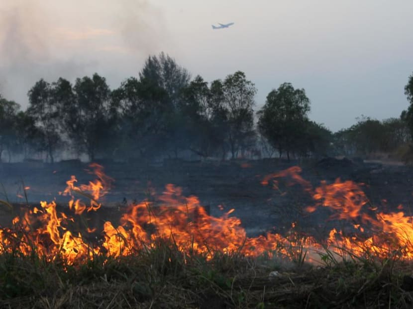 The dry, warm conditions have resulted in a sharp increase in the number of vegetation fires in Singapore in recent months.