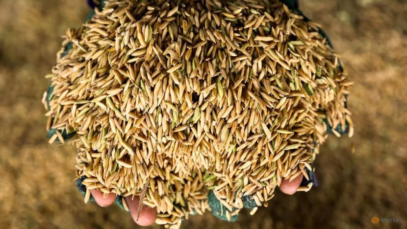 Malaysia to ask ASEAN's main rice supplying nations to prioritise members - Bernama