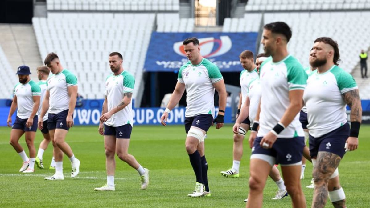 Ireland hope to have all players available to face New Zealand
