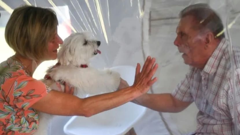 Plastic bubble brings joy to French nursing home amid COVID-19 lockdown Plastic bubble brings joy to French nursing home amid COVID-19 lockdown