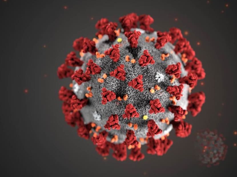 This illustration, created at the Centers for Disease Control and Prevention (CDC) in the United States, reveals ultrastructural morphology exhibited by coronaviruses. This illustration, created at the Centers for Disease Control and Prevention (CDC) in the United States, reveals ultrastructural morphology exhibited by coronaviruses.