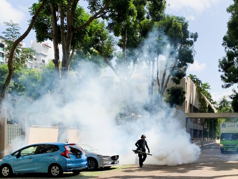 A worker fumigates a condominium to prevent the breeding of Aedes mosquitoes, in Singapore on Jan 21, 2022. 