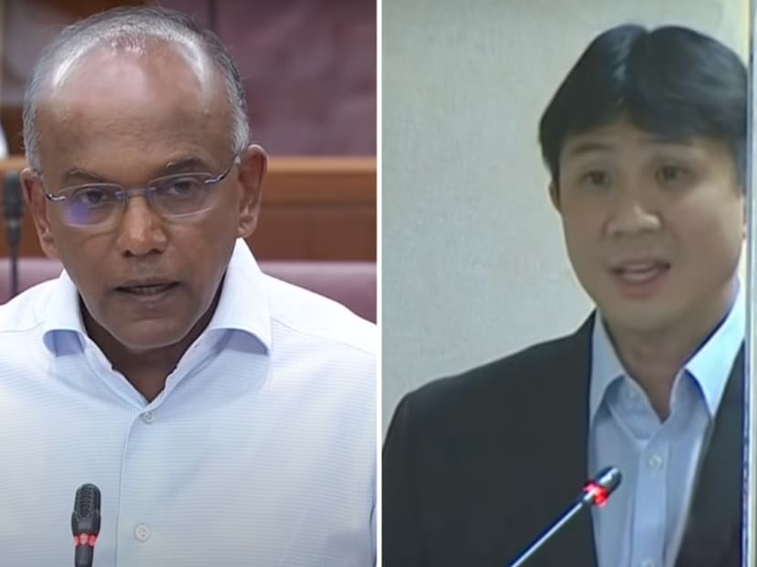 Law and Home Affairs Minister K Shanmugam on Feb 4, 2021 rejected a suggestion by Member of Parliament Jamus Lim that the criminal records of ex-offenders convicted of non-violent crimes could be removed 'for employment purposes'.