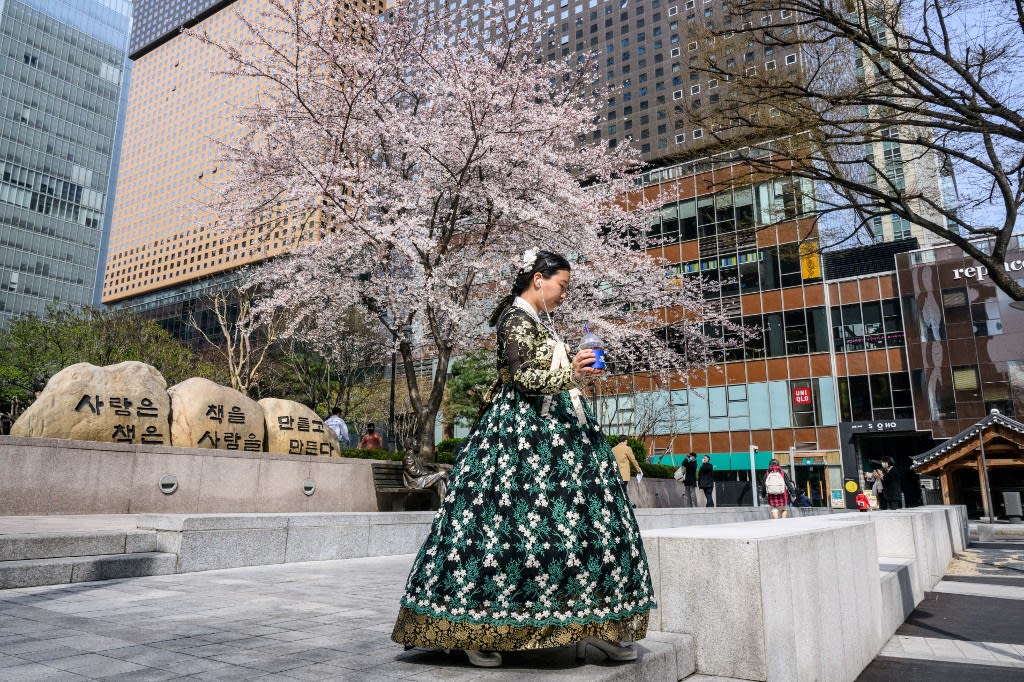 A woman wearing traditional hanbok dress walks past a blossoming cherry tree in Seoul on April 5, 2022. A woman wearing traditional hanbok dress walks past a blossoming cherry tree in Seoul on April 5, 2022.
