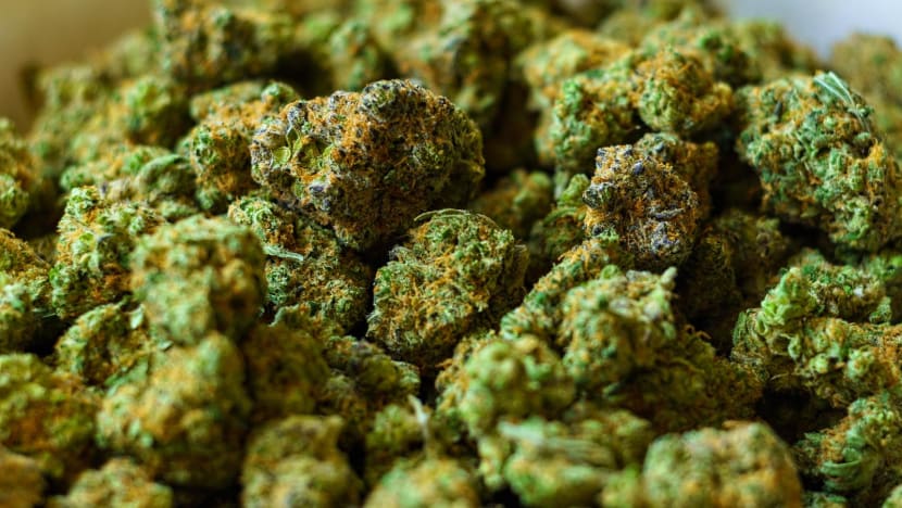 Heart of the Matter podcast: Unpacking young people's misperceptions about cannabis Heart of the Matter podcast: Unpacking young people's misperceptions about cannabis