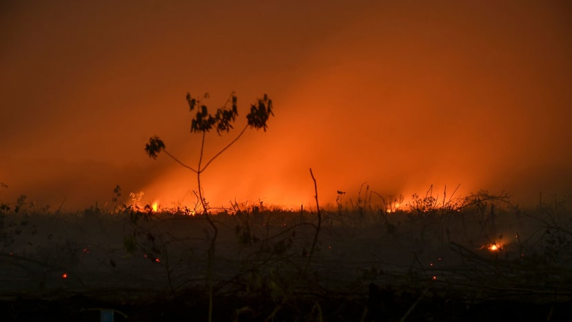 Indonesia forest fires have 'major impact' on climate, 360m tonnes of CO2 released since August: Masagos Indonesia forest fires have 'major impact' on climate, 360m tonnes of CO2 released since August: Masagos