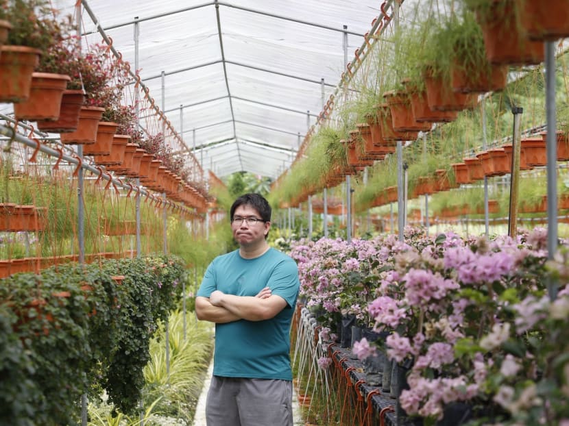 Mac Teo manages his family's business at Koon Lee Nursery, one of the places affected by the expansion of Tengah Air Base. Photo: Najeer Yusof
