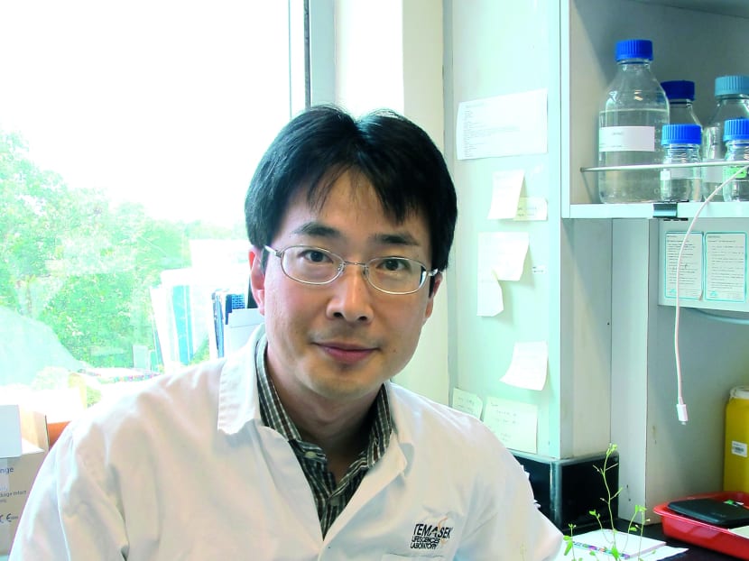 How to nip a flower in the bud