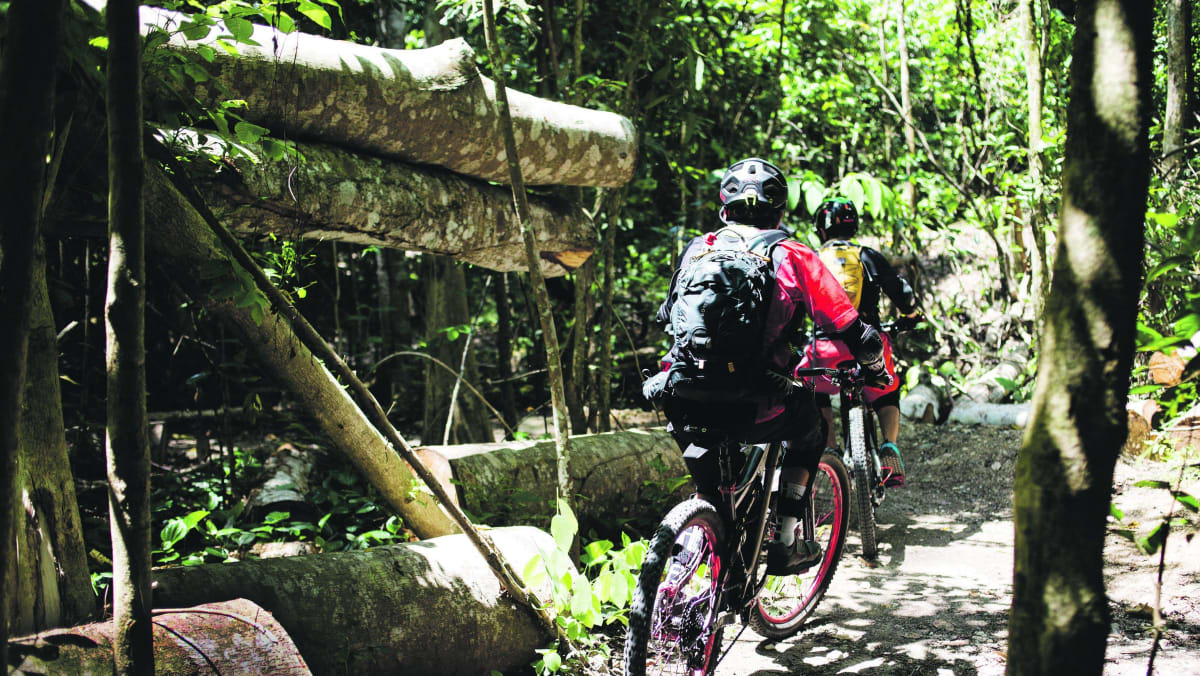 trail bike tours