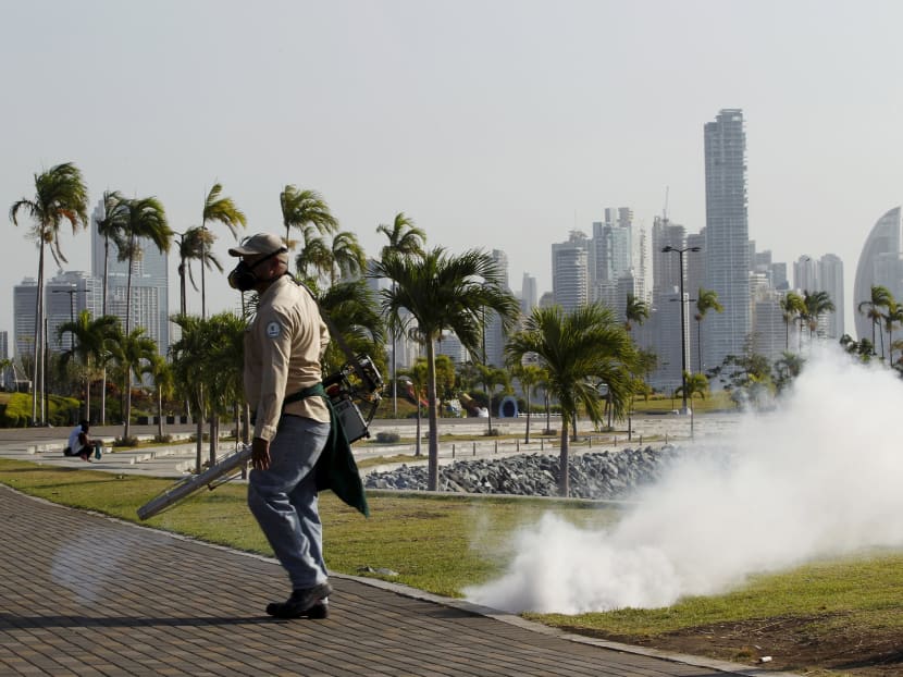 A health worker carries out fumigation as part of preventive measures against the Zika virus and other mosquito-borne diseases at the seafront in Panama City in this Feb 2, 2016 file photo. Photo: Reuters