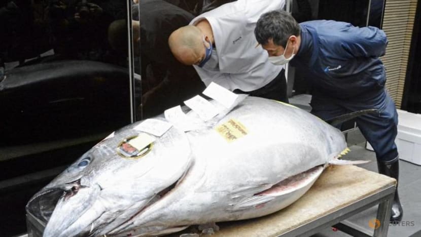 Tuna goes for US$200,000 at Tokyo market's New Year auction Tuna goes for US$200,000 at Tokyo market's New Year auction
