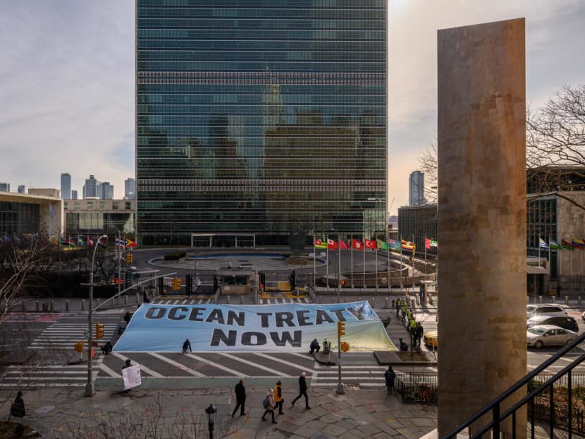 20230615 afp un treaty