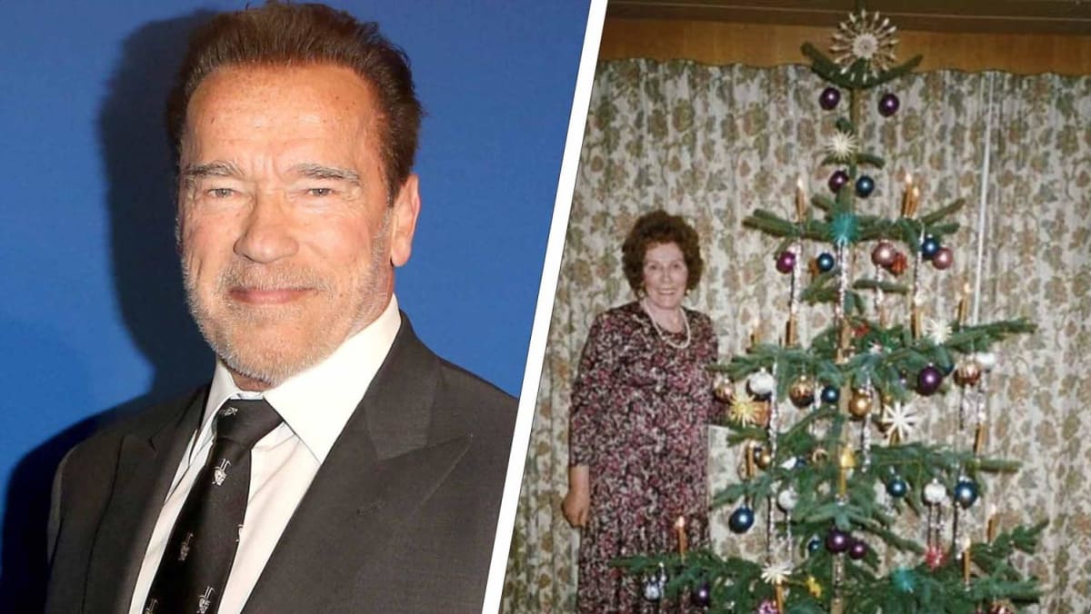 Arnold Schwarzenegger Shares Tribute To Late Mother On Christmas Eve