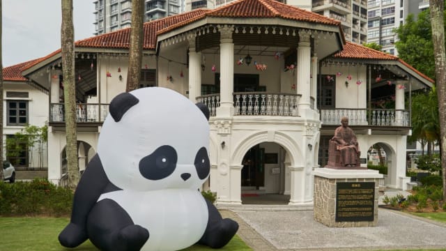 “花好月圆聚晚晴”文化活动纷呈　可爱大熊猫抢先占位啦！
