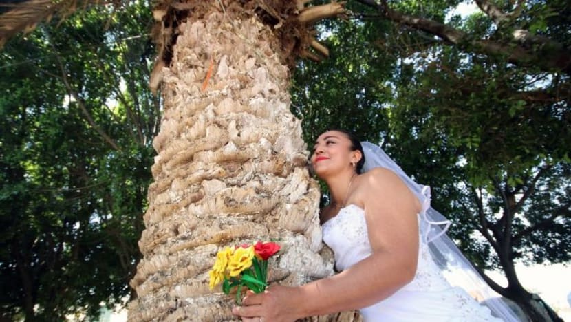 Bosan dengan lelaki, wanita di Mexico kahwin pokok