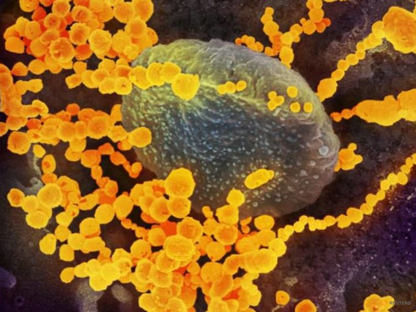 Why does the coronavirus mutate? How do we stop it from becoming more dangerous?