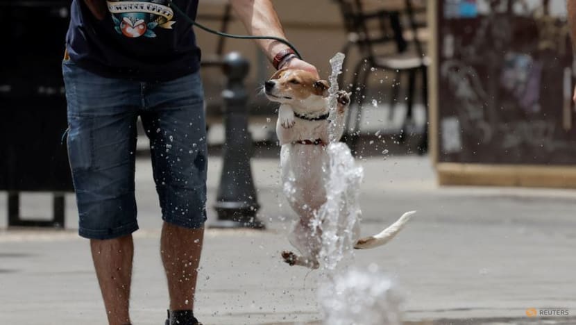 Spain swelters as temperatures soar above May average