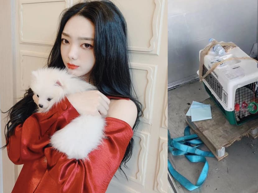 Singer Mimi Lee’s Pet Dog Died On A Flight To China — She’d Arranged For The Pooch To Be Flown From Thailand To China So They Could Reunite After 2 Years