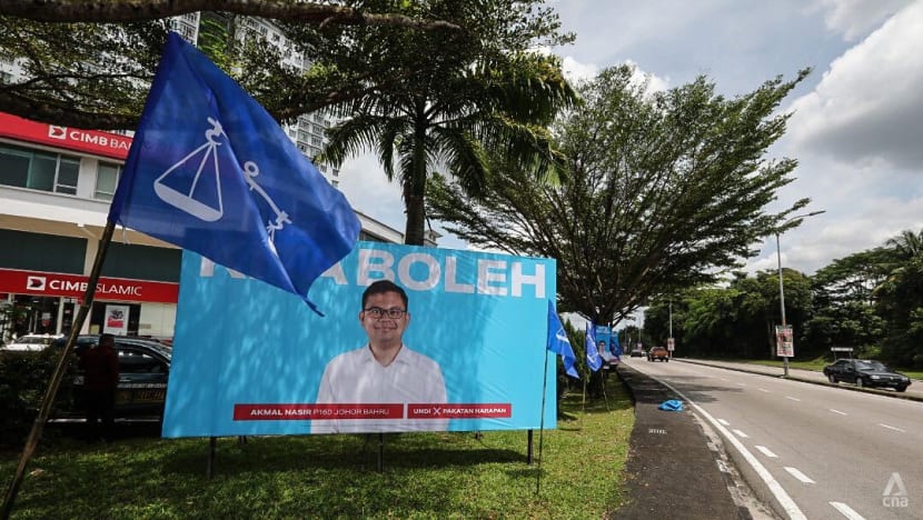 Malaysia GE15: Low political literacy and indecisiveness limit youth votes