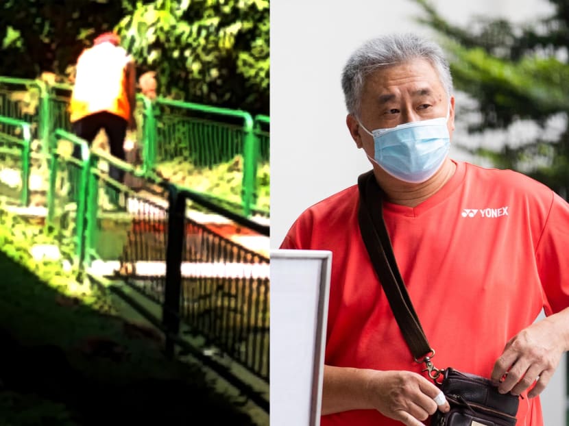 Cheong Wah Meng (right) trespassed a no-entry area at Upper Peirce Reservoir Park and put his pet in danger by dropping it into a canal for a swim (left).