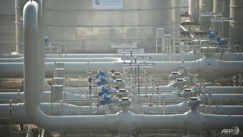 Germany raises gas alert level after Russia cuts supply Germany raises gas alert level after Russia cuts supply