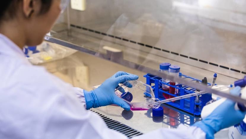 Safety rules for new food inventions as demand for meat substitutes grows Safety rules for new food inventions as demand for meat substitutes grows