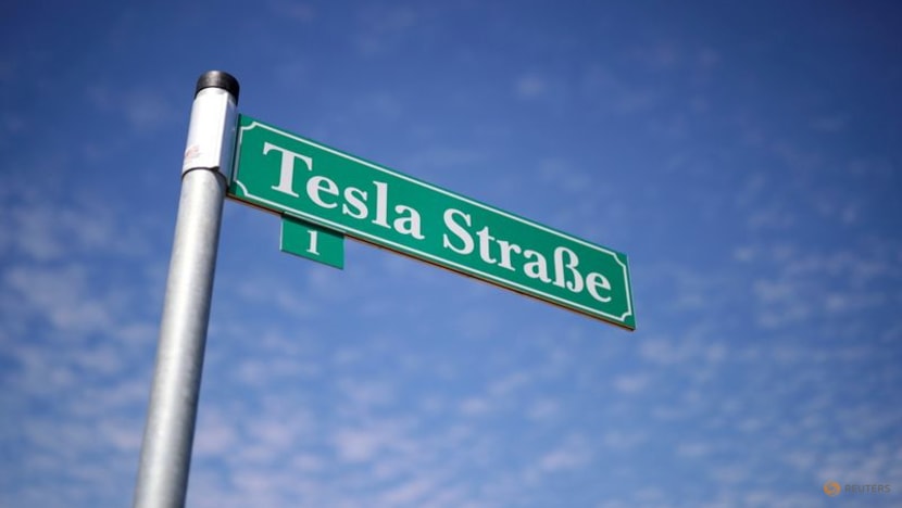 Tesla's German plant hits snag as public consultation repeated Tesla's German plant hits snag as public consultation repeated