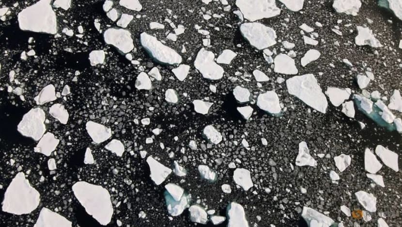 It is official: US back in the Paris climate club It is official: US back in the Paris climate club