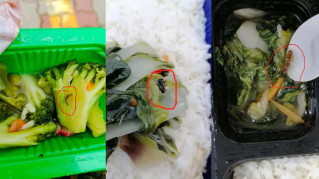 惹兰都康宿舍伙食不卫生 食品局：正调查餐饮供应商