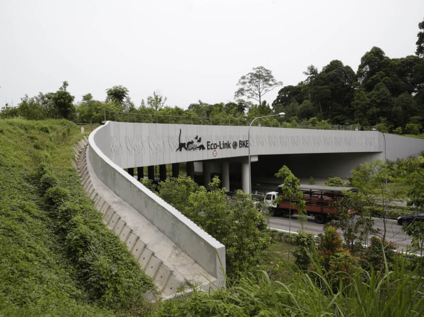 Fresh appeal for Govt to bypass forest in building of MRT line