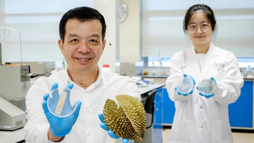 NTU scientists transform discarded durian husks into antibacterial gel bandages