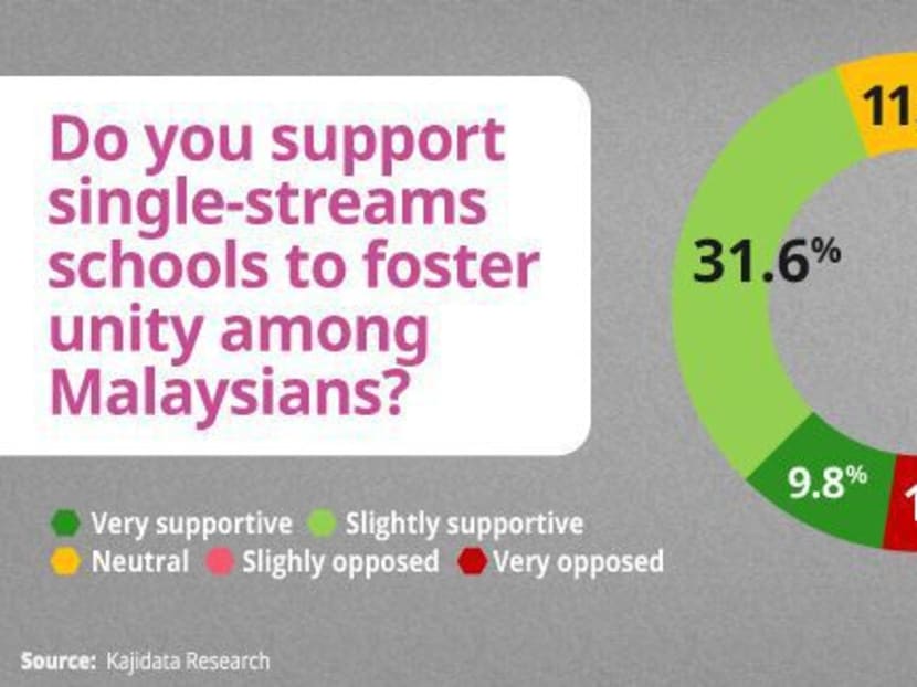 Najib: Single-stream schools a political landmine