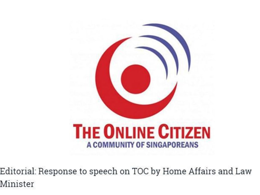 Screengrab from The Online Citizen website