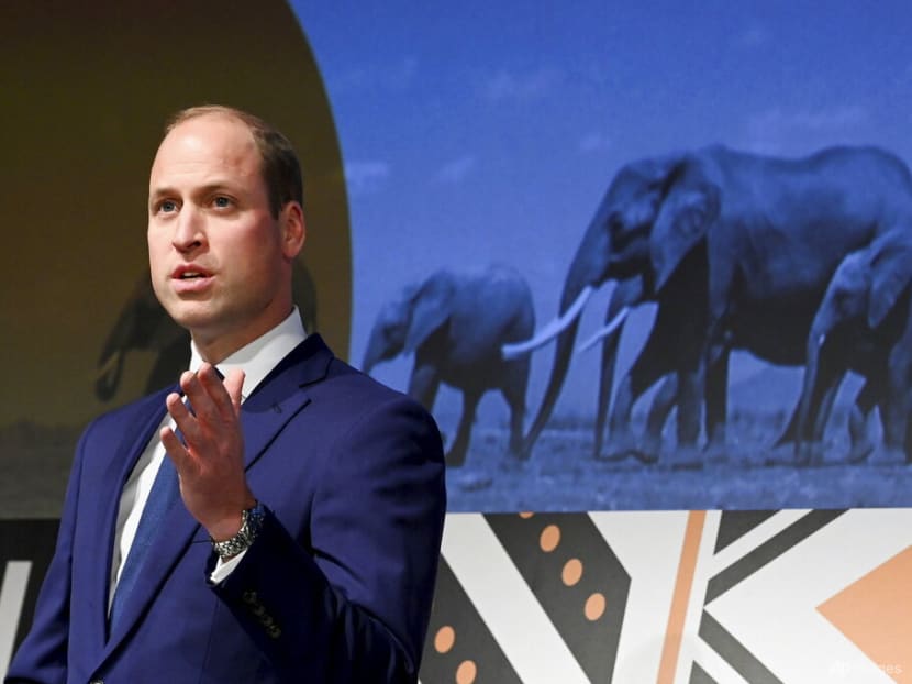 Prince William seeks nominees for US$1.4 million Earthshot prize to tackle climate change Prince William seeks nominees for US$1.4 million Earthshot prize to tackle climate change