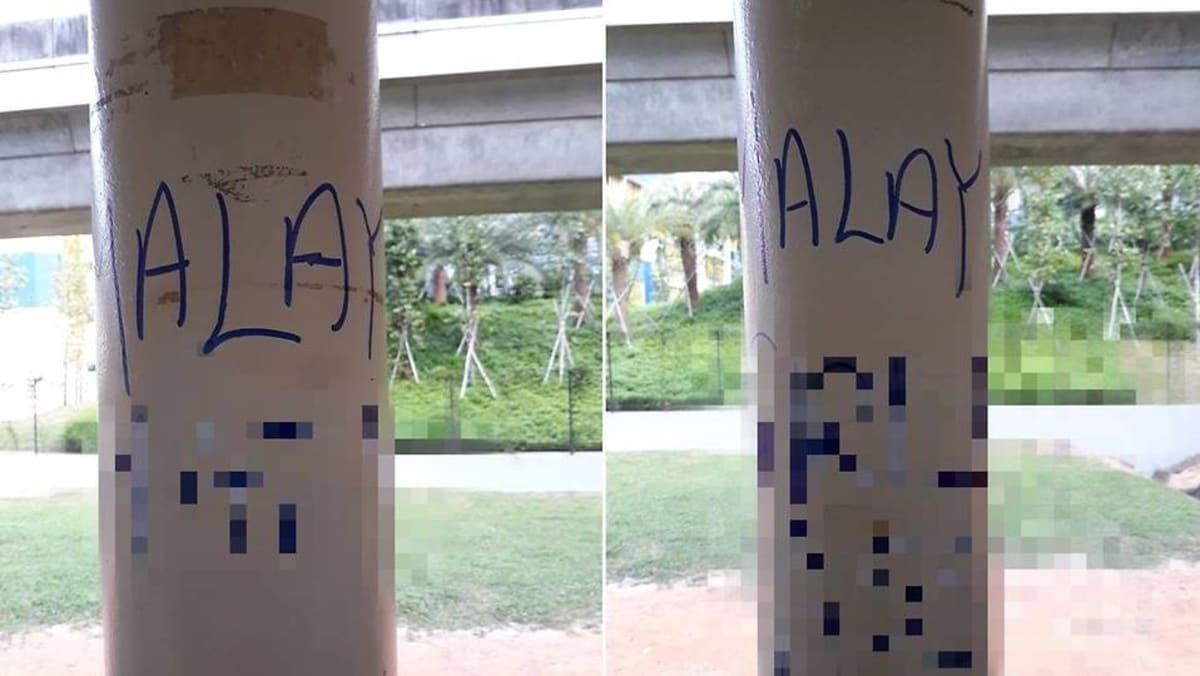 Pria dipenjara, dicambuk karena mencakar grafiti rasis di Geylang