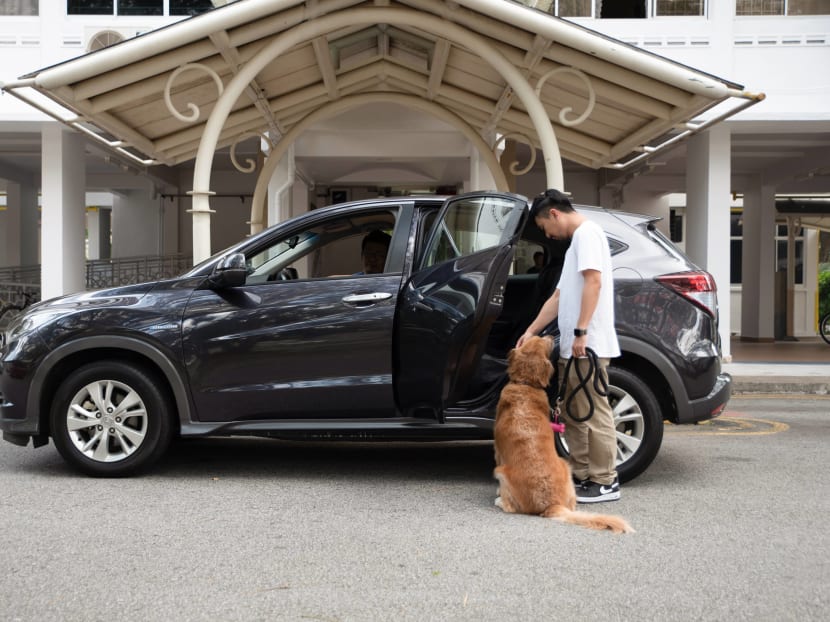 The GrabPet Beta service allows customers to book on-demand transportation services to ferry their dogs, cats and other animal companions. The GrabPet Beta service allows customers to book on-demand transportation services to ferry their dogs, cats and other animal companions.