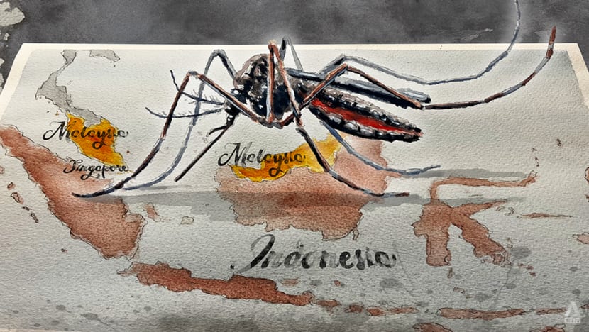 Dengue%20(2)