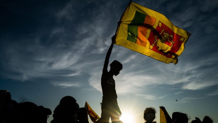 Sri Lanka police arrest man for stealing president's flags Sri Lanka police arrest man for stealing president's flags