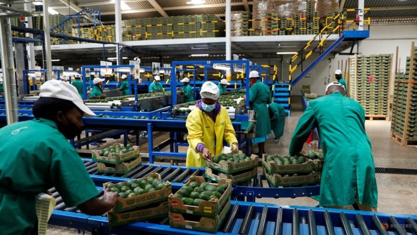 Africa's dream of feeding China hits hard reality Africa's dream of feeding China hits hard reality