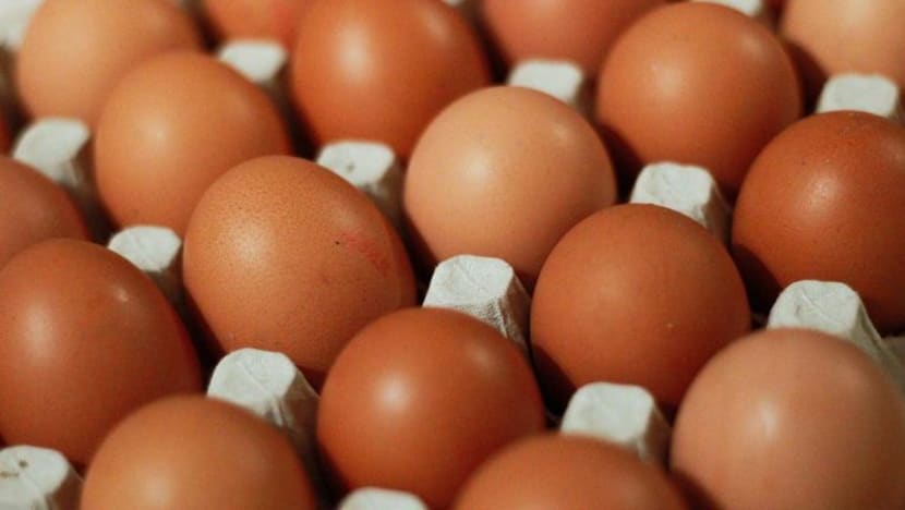 FAMA beri jaminan bekalan telur di M'sia cukup sepanjang Ramadan, Aidilfitri 